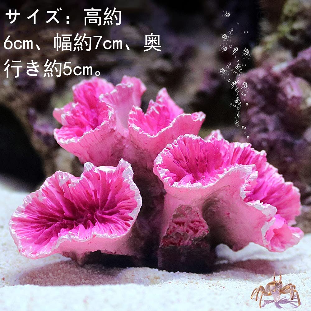 Amazon | Luottus 人工珊瑚 サンゴ 水槽 コーラル オブジェ レプリカ